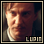 Professor Remus J. Lupin / Moony